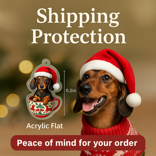 🚚 Add Shipping Protection
